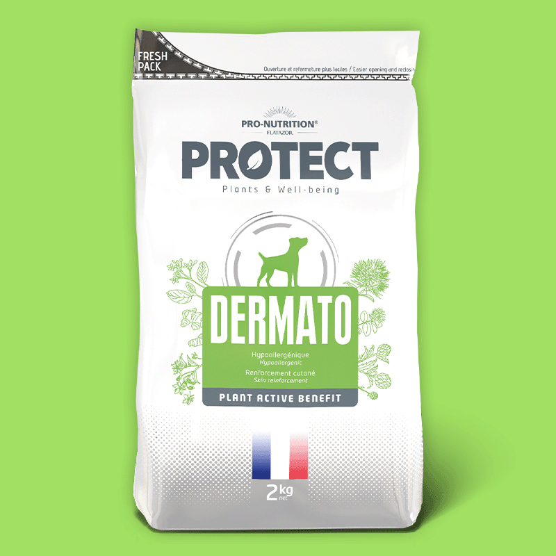 PROTECT DERMATO CANINO 2KG
