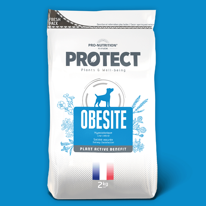 PROTECT OBESITE CANINO 2KG